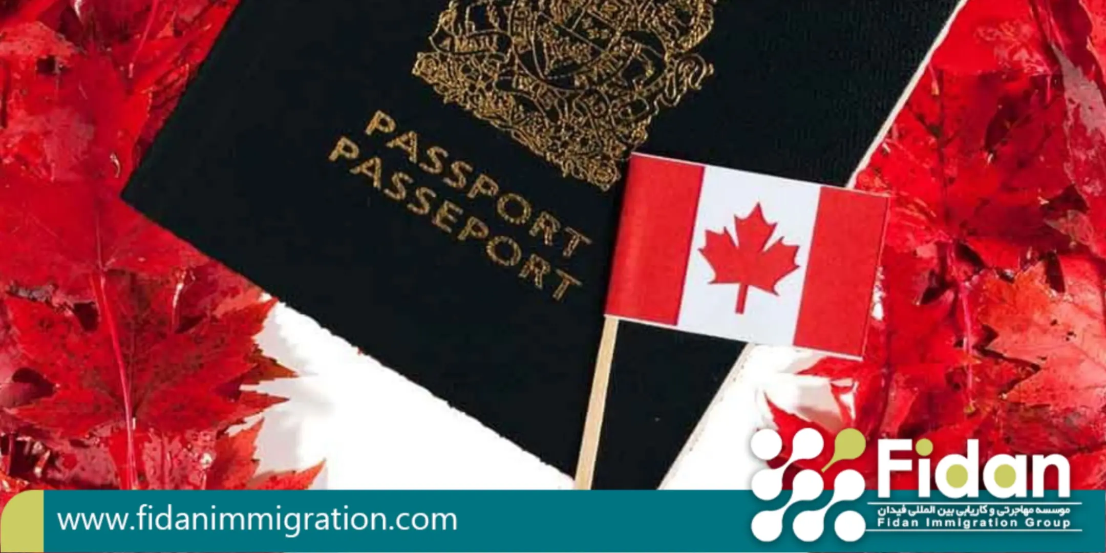 راه های مهاجرت به کانادا- مراحل مهاجرت به کانادا